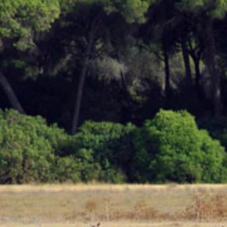 Pequeno Rocio Urbanizacion Privada Villa El Rocio Luaran gambar